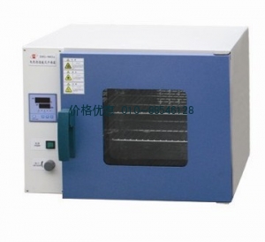 电热恒温鼓风干燥箱DHG-9123A