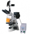 BM-19AYV摄像荧光显微镜