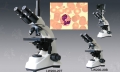 实验型生物显微镜LW200-20B