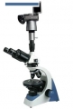 BM-57XCS数码偏光显微镜