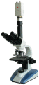 XSP-BM-2CEAC电脑生物显微镜