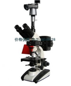 BM-20AYS数码落射荧光显微镜