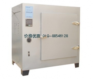 电热恒温鼓风干燥箱（500℃）DHG-9243BS-Ⅲ