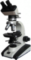 BM-59XA偏光显微镜