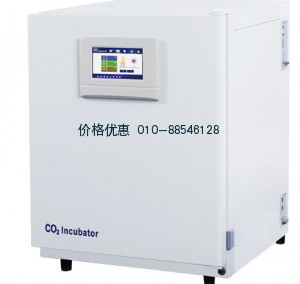 二氧化碳培养箱BPN-190RHP