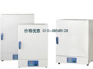 干燥箱DHG-9091A(自然对流)