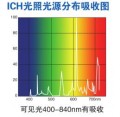 药品稳定性试验箱LHH-150GSP-UV