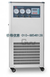 低温循环真空泵DLSB-ZC